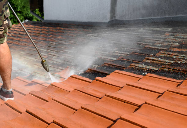 Best Concrete Pressure Washing  in Morgantown, MS