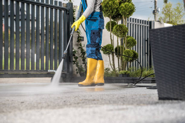 Best Pressure Washing Company Near Me  in Morgantown, MS