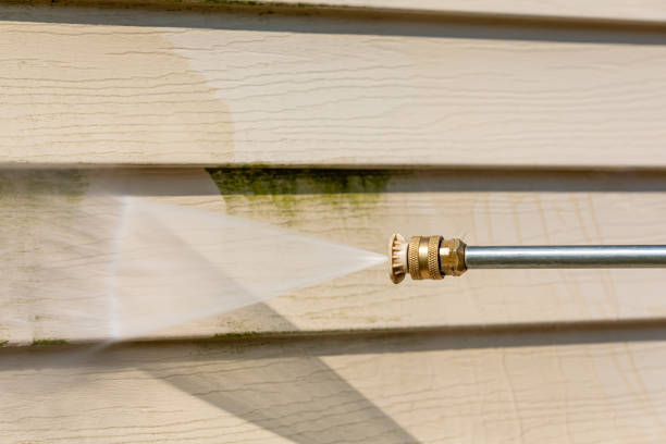 Best House Pressure Washing  in Morgantown, MS