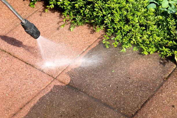 Best Best Pressure Washing Companies  in Morgantown, MS